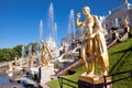 Peterhof Museum-Reserve, famous cascade of fountains fnd golden sculptures near the Peterhof Palace