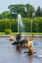 Peterhof Palace St Petersburg, Russia. Golden fish statue fountain in Higher Park. The Peterhof Palace included in the Royalty Free Stock Photo