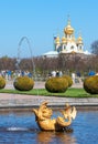 Peterhof. Russia. Fragment of The Mezheumniy Fountain