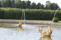 Peterhof, Russia, 23 july 2019. Golden statues and fountains in the Palace complex