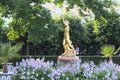 Peterhof, Russia, 23 july 2019. Golden statues and fountains in the Palace complex