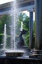 Peterhof Museum-reserve. Fountain `Lion cascade` and the sculpture `the Nymph Aganippe`. Travel to Russia.