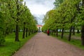 Peterhof, Russia - June 03. 2017. Pavilion Hermitage and Foliage Alley in Lower Park