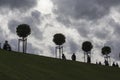 Row of manicured Tilia trees in line on and people walking on green grass lawn hill of Garden of Venus with blue sky