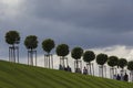 Row of manicured Tilia trees in line on and people walking on green grass lawn hill of Garden of Venus with blue sky