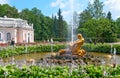 Peterhof. Russia. The Triton Fountain Royalty Free Stock Photo