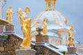 Peterhof. Russia. The Venus Kallipygos Sculpture