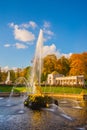 PETERHOF, SAINT PETERSBURG, RUSSIA - OCTOBER 1, 2023: Fountain golden statue of Samson tearing the lion's mouth Royalty Free Stock Photo