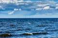 Peterhof, Saint Petersburg, Russia. View of the Gulf of Finland on a cloudy spring day from the palace and park ensemble Royalty Free Stock Photo