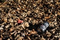 Empty aluminium drinks can and crumpled paper disgarded as litter in old dry leaves