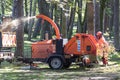 Worker feeding branches into a wood chipping machine in a woodland area