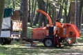 Worker looking upward in a woodland area with wood chipping machine Royalty Free Stock Photo