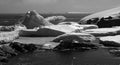 Petermann Island - Antarctica