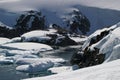 Petermann Island - Antarctica