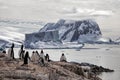 Petermann Penguin Colony and Iceberg