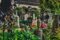 Petersfriedhof Salzburg Royalty Free Stock Photo