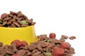 Petfood Royalty Free Stock Photo