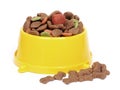 Petfood bowl Royalty Free Stock Photo