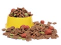 Petfood bowl Royalty Free Stock Photo