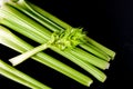 Petiolate celery on a black table background Royalty Free Stock Photo