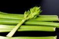 Petiolate celery on a black table background Royalty Free Stock Photo