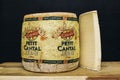 Petit cantal jeune cheese Royalty Free Stock Photo