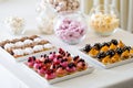A petit four Royalty Free Stock Photo