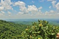 Petit Jean River Valley Royalty Free Stock Photo