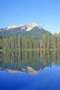 Petit Lake and Sawtooth Mountains, Idaho Royalty Free Stock Photo