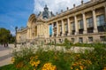 Petit Palais Small Palace from the gardens with the fountain in Paris, France. Royalty Free Stock Photo