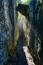 Petit Tsingy de Bemaraha, amazing landscape, Madagascar wilderness landscape