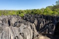 Petit Tsingy de Bemaraha, Madagascar wilderness landscape