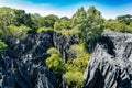 Petit Tsingy de Bemaraha, Madagascar wilderness landscape