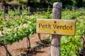 PETIT VERDOT Wine sign on vineyard. Vineyard landcape Royalty Free Stock Photo