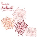 Petle Flower Wall Decal Sticker Vector Illustration Royalty Free Stock Photo