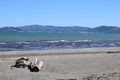 Petone to Wellington across Wellington Harbour, NZ Royalty Free Stock Photo