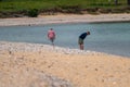 Petoskey, MI - June 6th, 2023: Mature couple looking for petoskey stones on a sandy beach