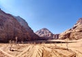 Petra - Arbusti nel deserto di Wadi Rum