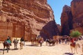 Petra, Jordan - Bedouin camels and donkeys waiting for tourists at Petra archaeological ancient city of Petra, Wadi Musa, Middle E