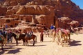 Petra, Jordan - Bedouin camels and donkeys waiting for tourists at Petra archaeological ancient city of Petra, Wadi Musa, Middle E