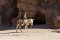 PETRA - JORDAN 25 December 2015: Arab boy riding a donkey