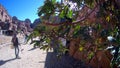 Tourists view the canyon ancient city of Petra in Jordan