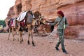 Arab bedouin guide with camels in the ancient city of Petra, jordan Royalty Free Stock Photo
