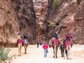 PETRA, JORDAN:Group of tourists on camels in Pet