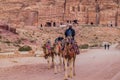 PETRA, JORDAN - MARCH 23, 2017: Camel rider in the ancient city Petra, Jord