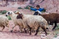 PETRA, JORDAN - MARCH 23, 2017: Sheep herder boy in the ancient city Petra, Jord