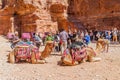 PETRA, JORDAN - MARCH 24, 2017: Tourists, camels and horse carriages in the ancient city Petra, Jord