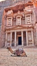 Petra Jordan Monastery treasury sunset Royalty Free Stock Photo