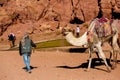 Camels and driver at Petra site in Jordan.