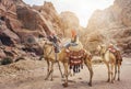 PETRA, JORDAN - NOVEMBER 22, 2007: Unidentified local Bedouin guided on camels near Royal tombs. Royalty Free Stock Photo